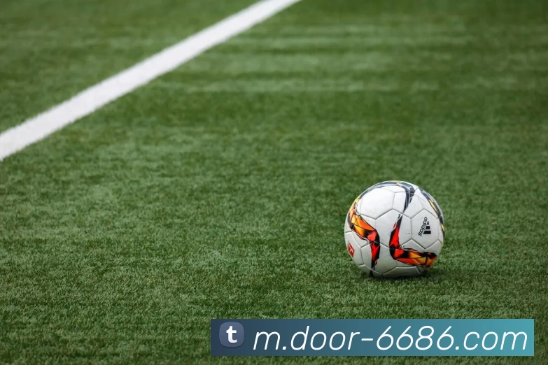 6686体育APP 封面图